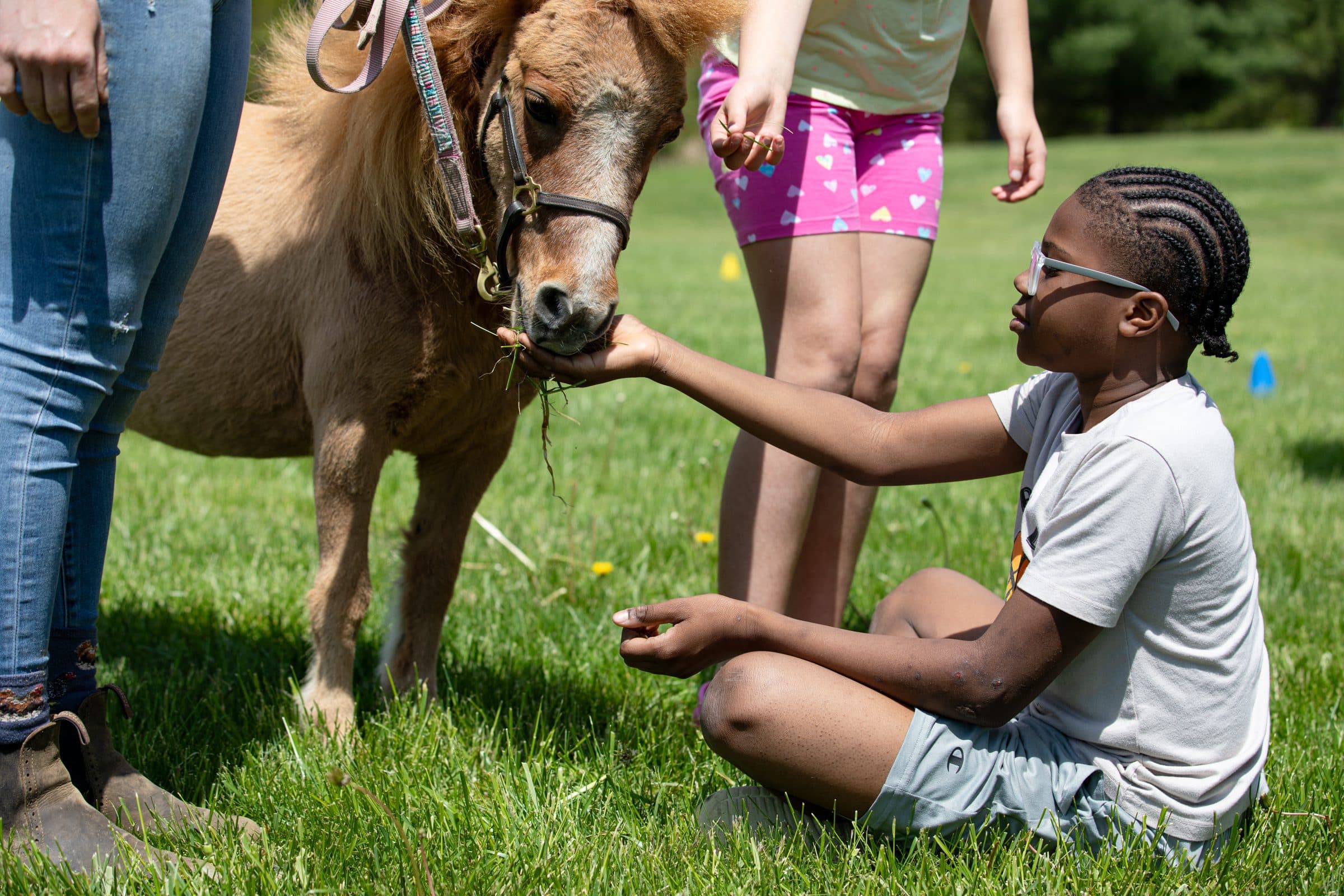 Student petting a pony