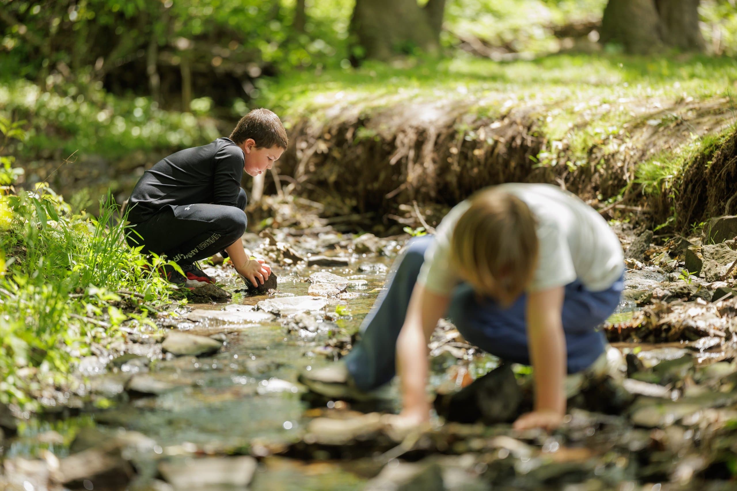 Students examining a stream during outdoor science study