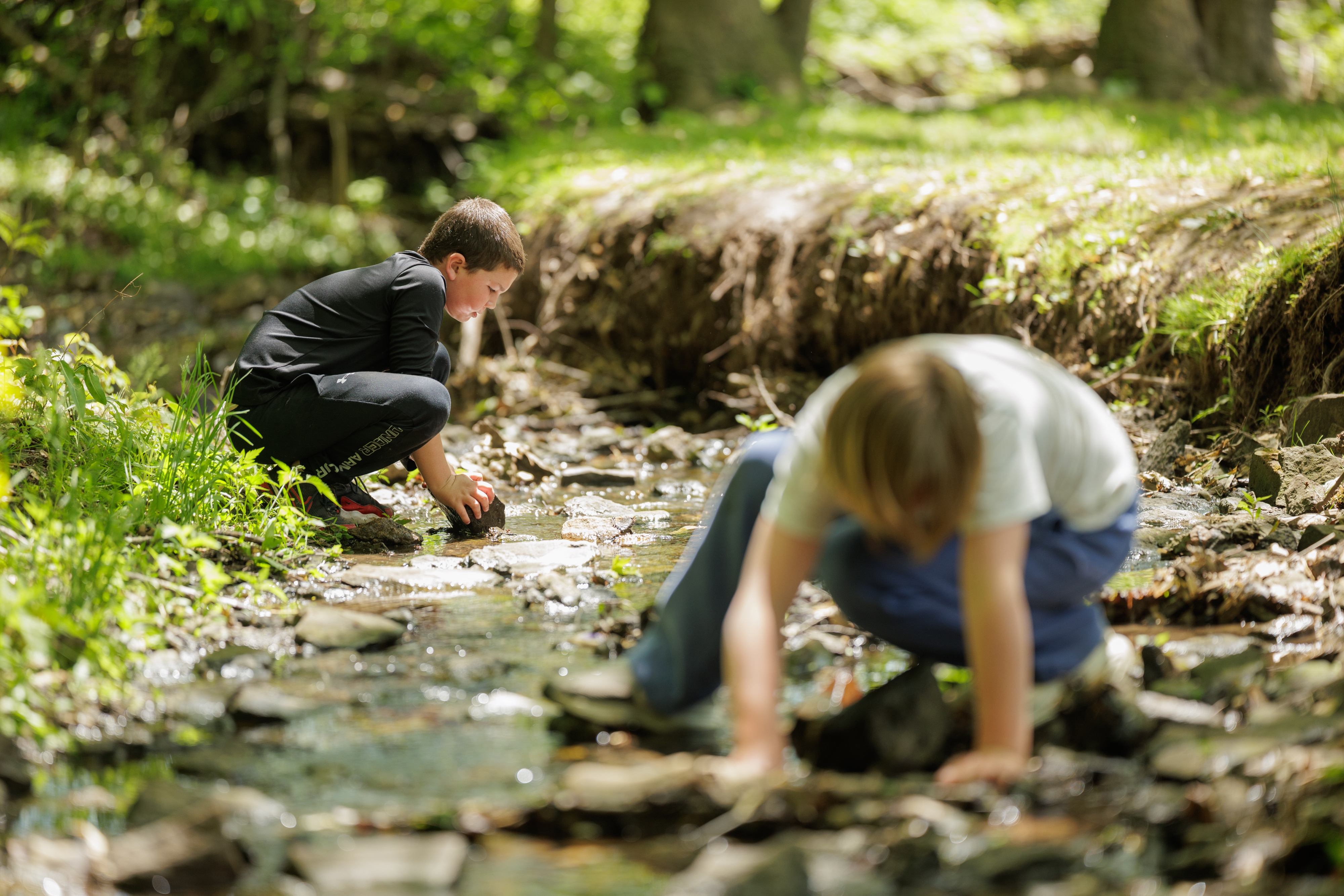 Students examining a stream during outdoor science study