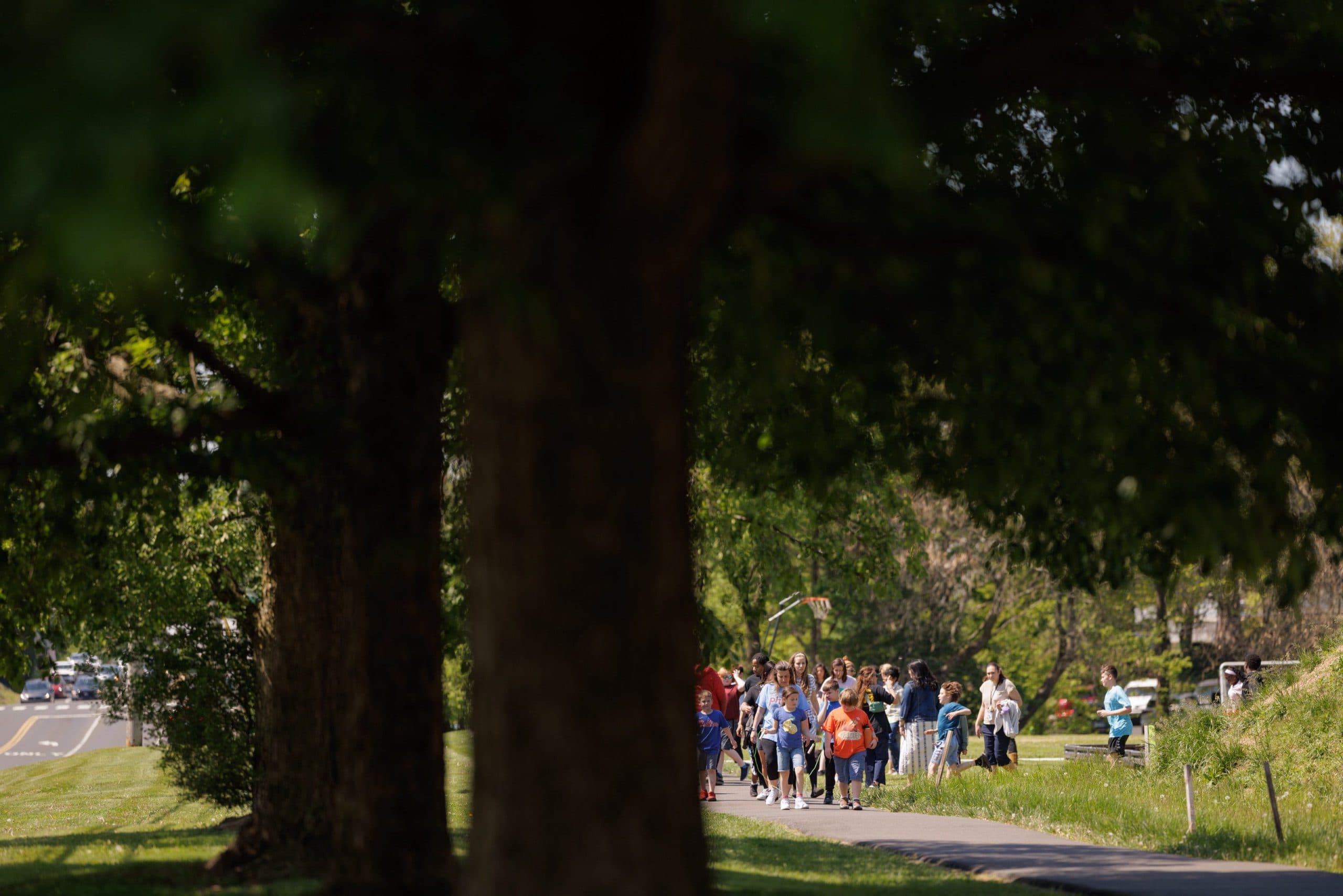 Students walking outdoors