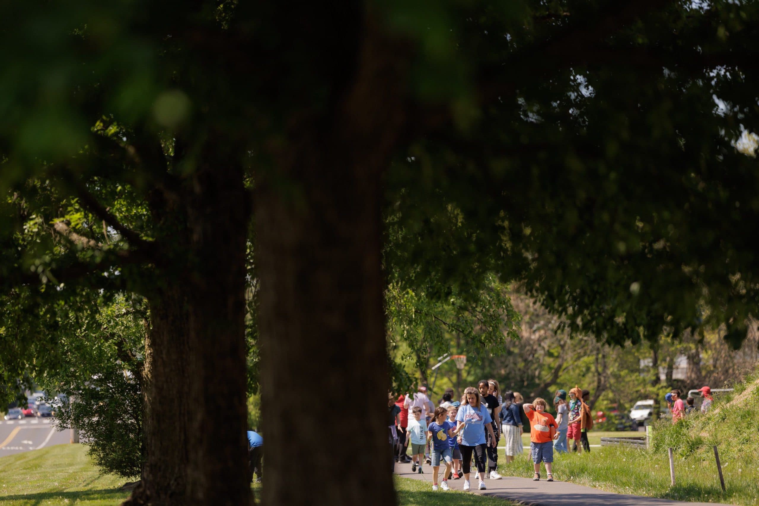 Students walking outdoors during a movement activity