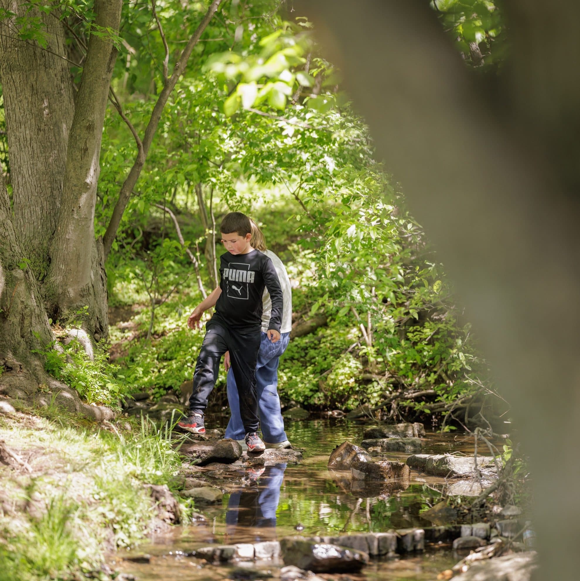 Students exploring a creek in the woods