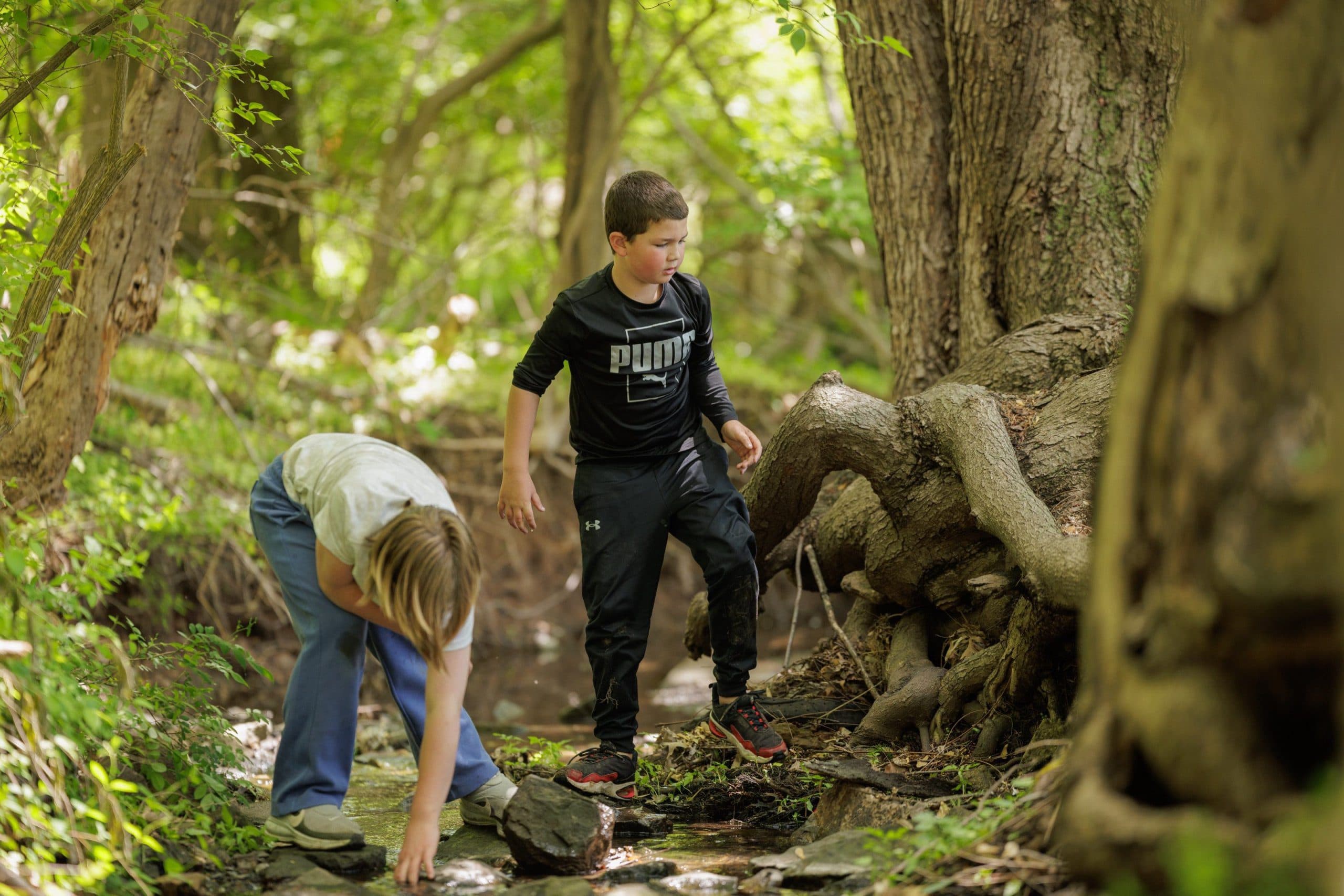 Students exploring a creek in the woods